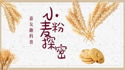 彩乐园趣科普：探秘小麦粉