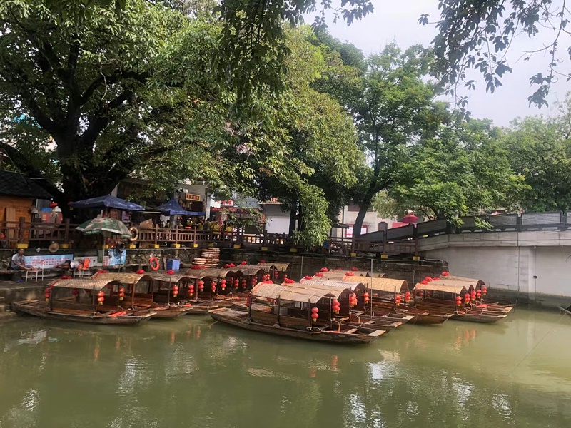 彩乐园顺德美食之旅，用优质食物转达幸福，建设具匠心且快乐的团队 (6)