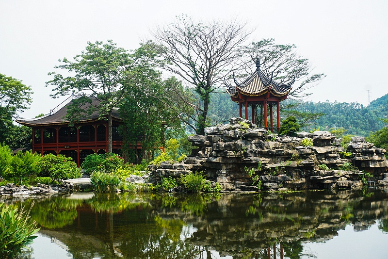 彩乐园顺德美食之旅，用优质食物转达幸福，建设具匠心且快乐的团队 (2)